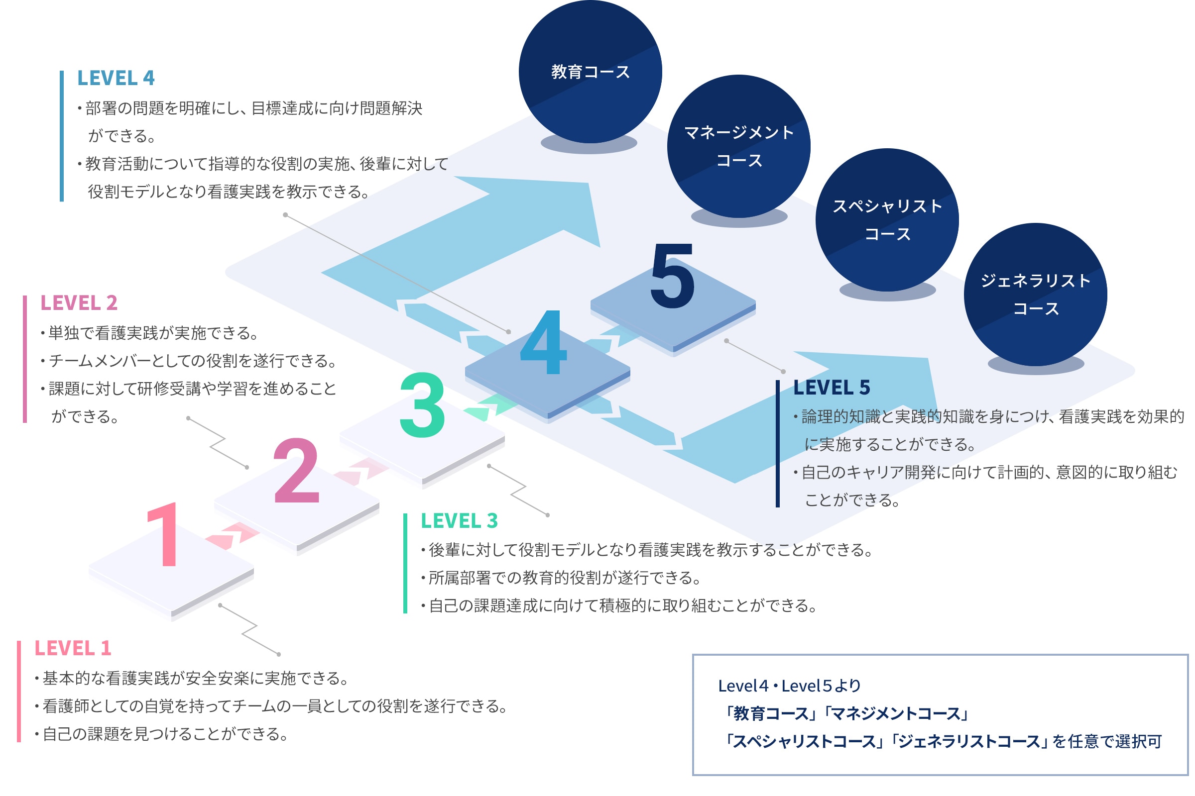 クリニカルラダーの図